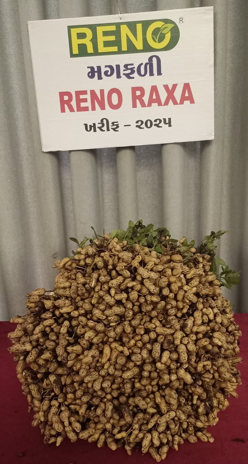 Honey Roasted Peanuts