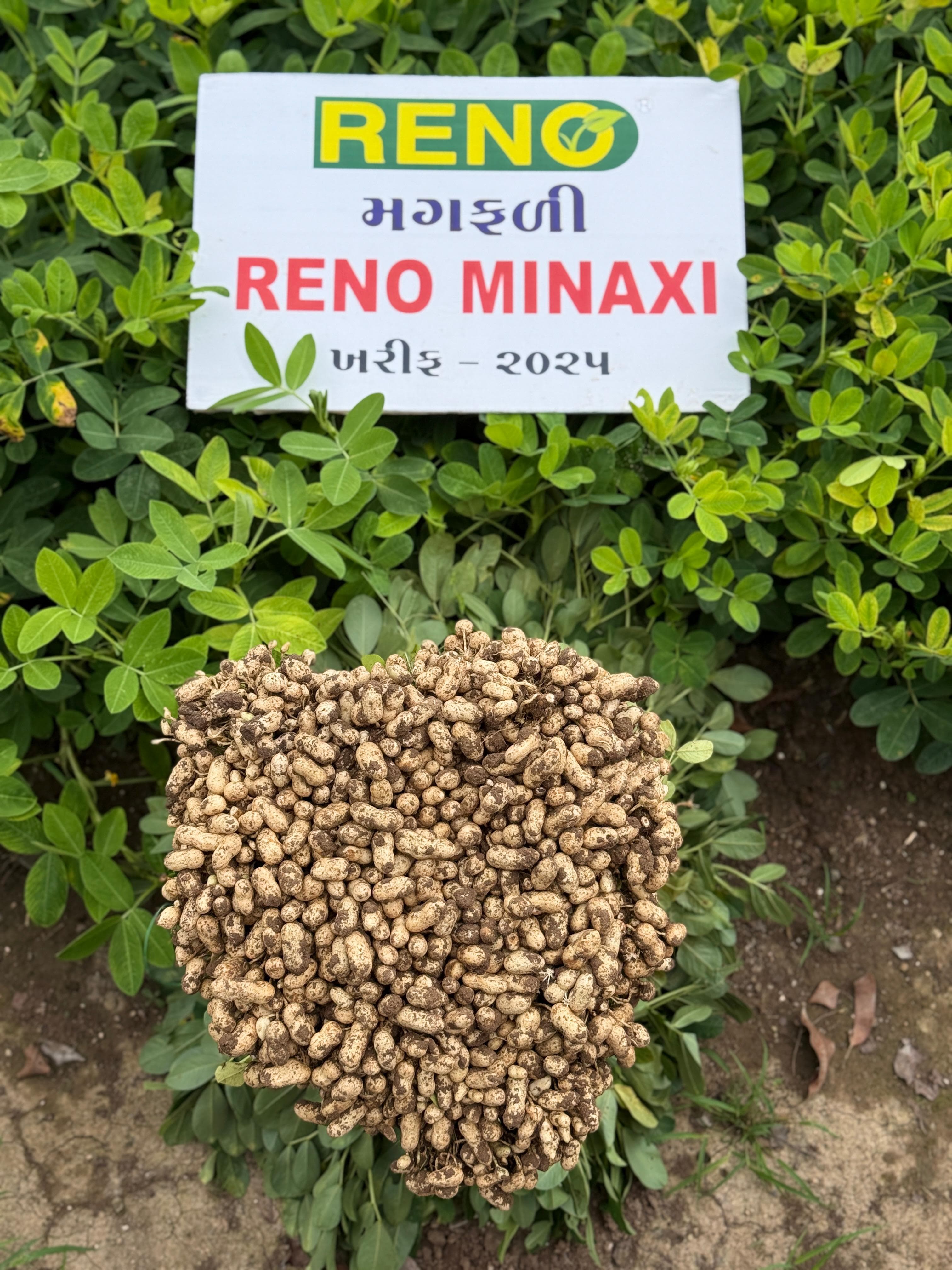 Our Roasting Process